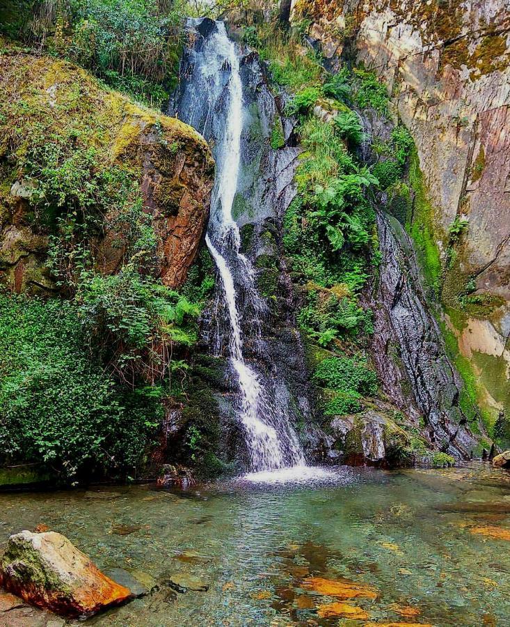 Fonte D' Amandos Panzió Arganil Kültér fotó