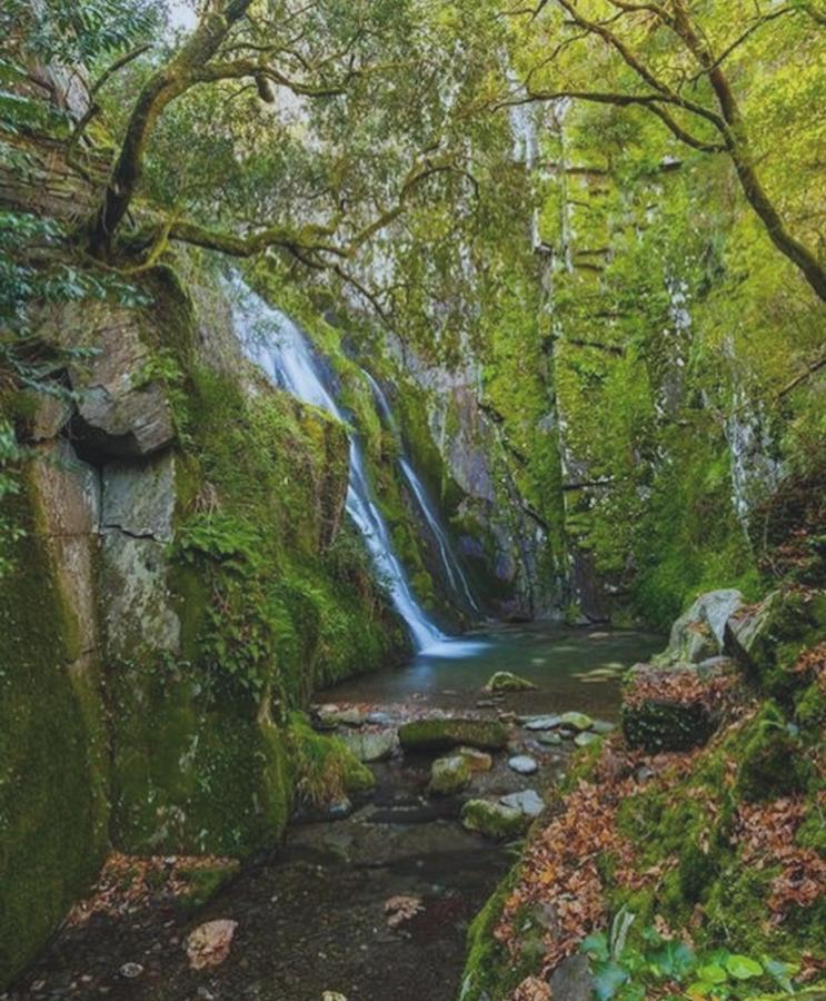 Fonte D' Amandos Panzió Arganil Kültér fotó